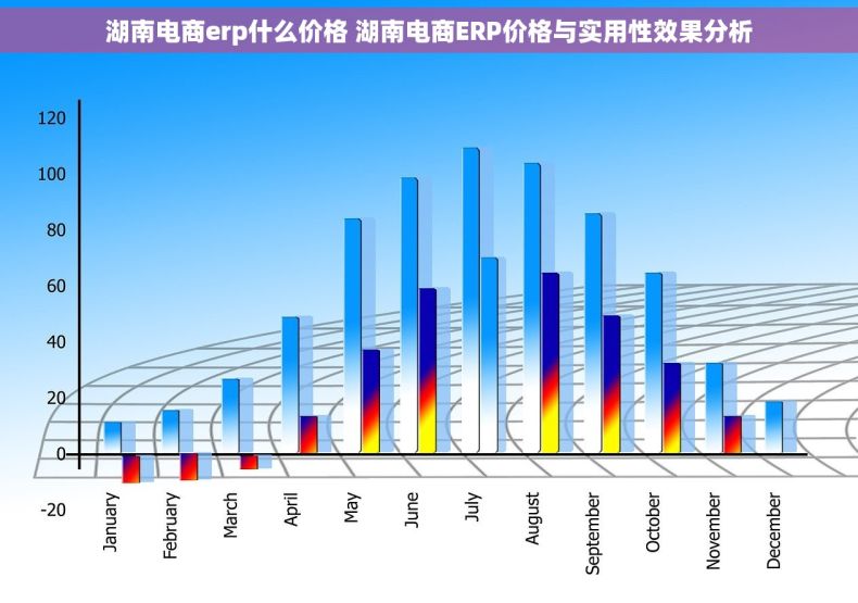 湖南电商erp什么价格 湖南电商ERP价格与实用性效果分析