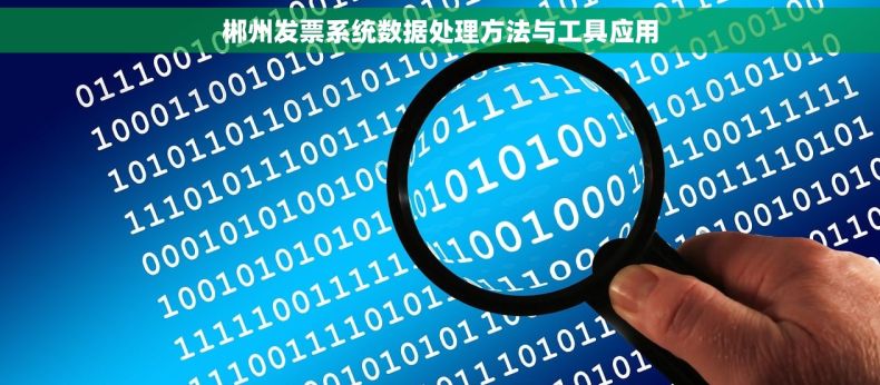 郴州发票系统数据处理方法与工具应用