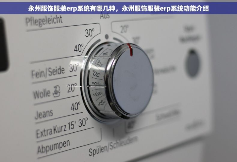 永州服饰服装erp系统有哪几种，永州服饰服装erp系统功能介绍