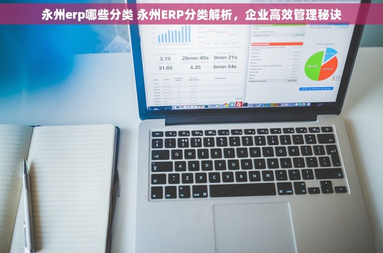 永州erp哪些分类 永州ERP分类解析，企业高效管理秘诀
