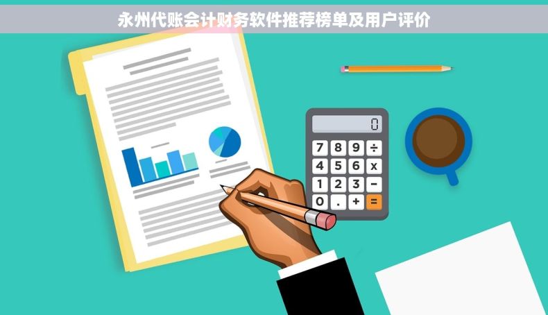 永州代账会计财务软件推荐榜单及用户评价