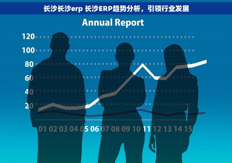长沙长沙erp 长沙ERP趋势分析，引领行业发展