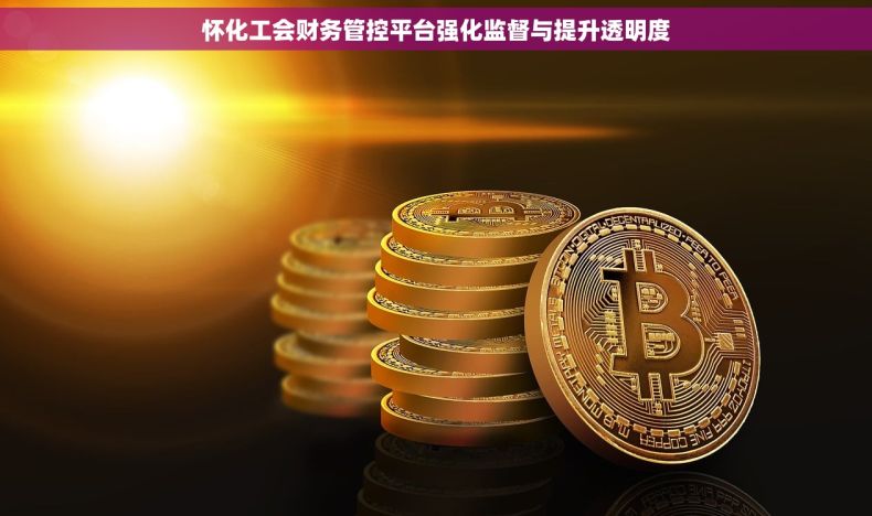 怀化工会财务管控平台强化监督与提升透明度