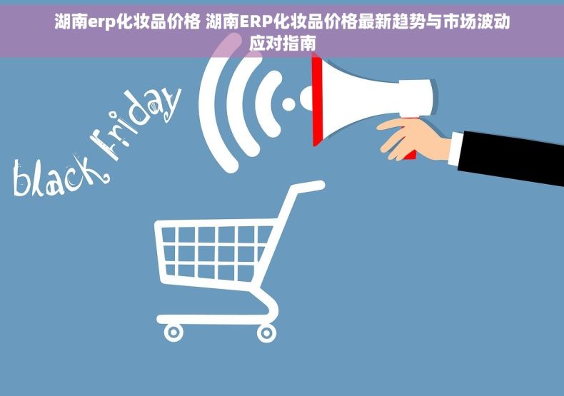 湖南erp化妆品价格 湖南ERP化妆品价格最新趋势与市场波动应对指南