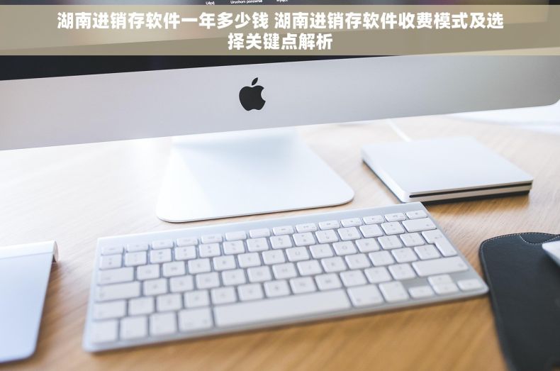 湖南进销存软件一年多少钱 湖南进销存软件收费模式及选择关键点解析