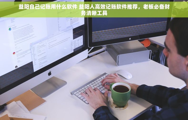 益阳自己记账用什么软件 益阳人高效记账软件推荐，老板必备财务清晰工具
