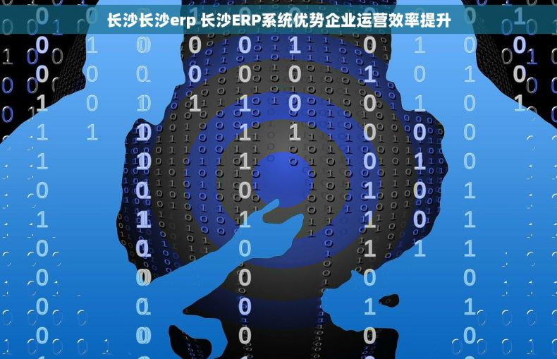 长沙长沙erp 长沙ERP系统优势企业运营效率提升