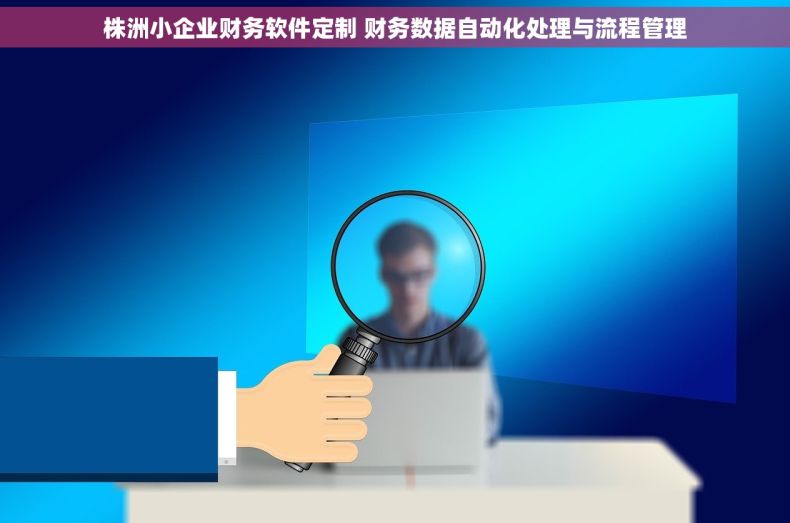 株洲小企业财务软件定制 财务数据自动化处理与流程管理