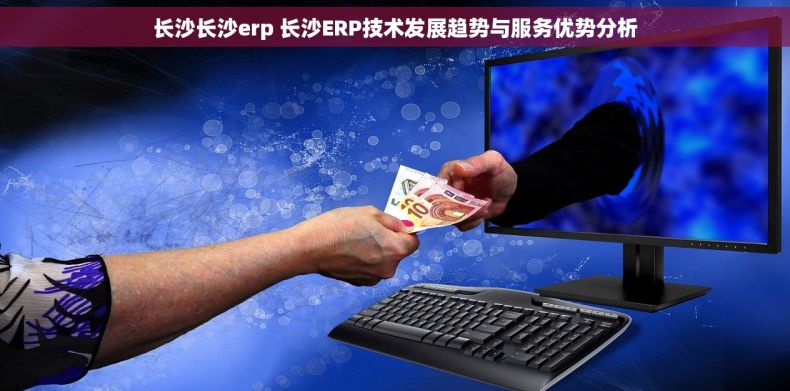 长沙长沙erp 长沙ERP技术发展趋势与服务优势分析