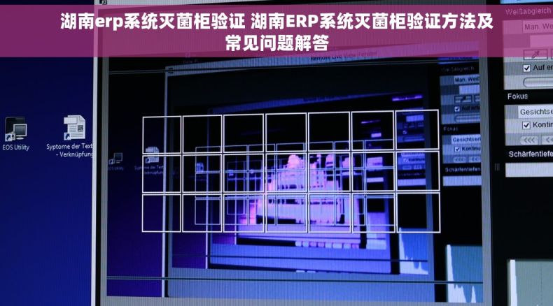 湖南erp系统灭菌柜验证 湖南ERP系统灭菌柜验证方法及常见问题解答