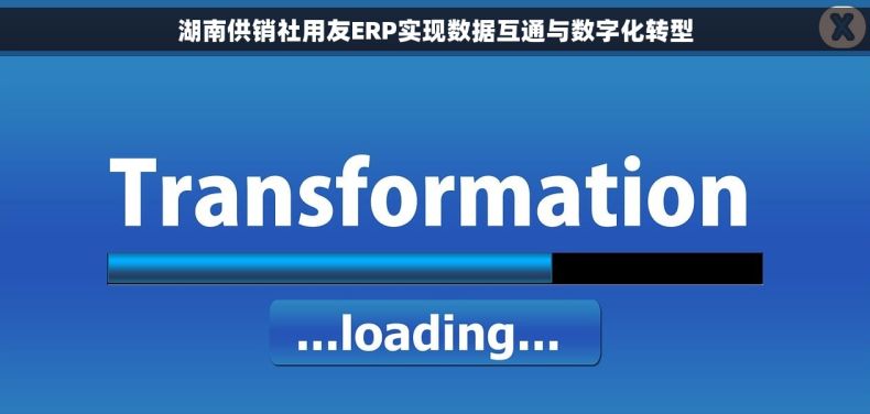湖南供销社用友ERP实现数据互通与数字化转型