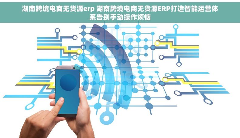湖南跨境电商无货源erp 湖南跨境电商无货源ERP打造智能运营体系告别手动操作烦恼
