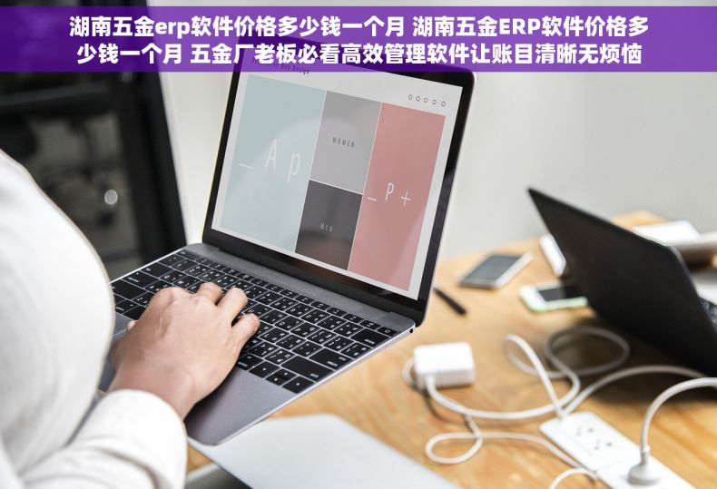 湖南五金erp软件价格多少钱一个月 湖南五金ERP软件价格多少钱一个月 五金厂老板必看高效管理软件让账目清晰无烦恼