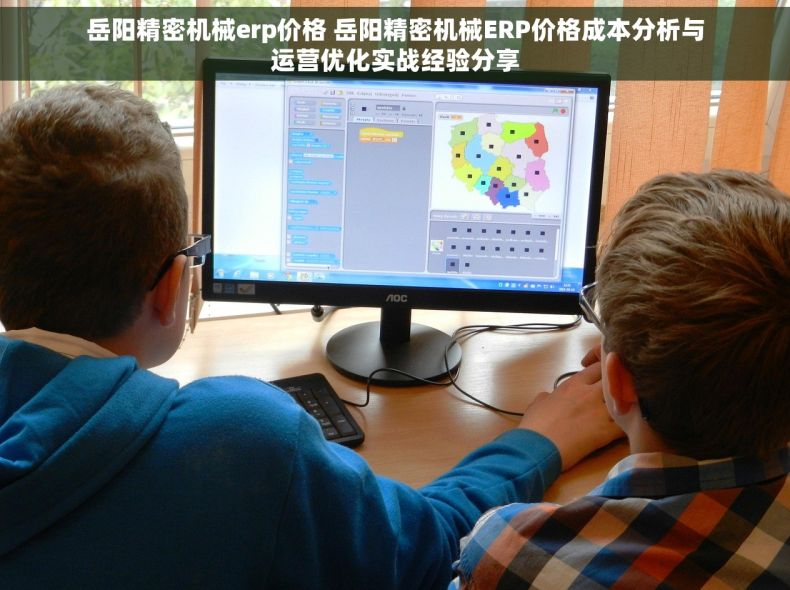 岳阳精密机械erp价格 岳阳精密机械ERP价格成本分析与运营优化实战经验分享