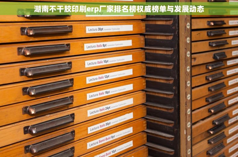 湖南不干胶印刷erp厂家排名榜权威榜单与发展动态