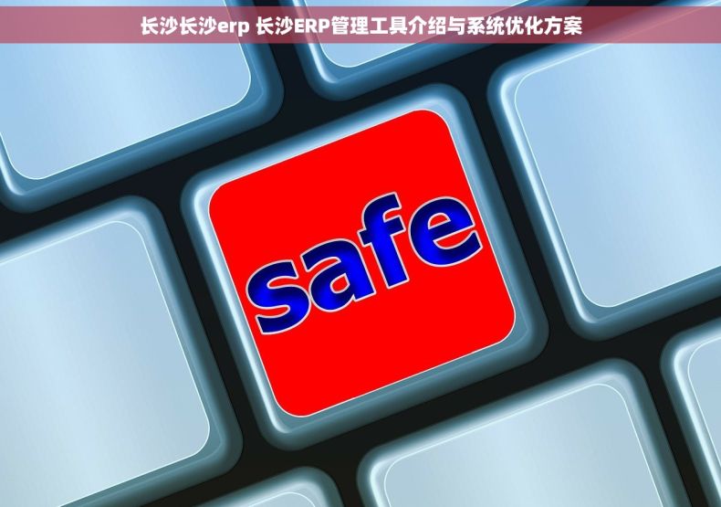 长沙长沙erp 长沙ERP管理工具介绍与系统优化方案