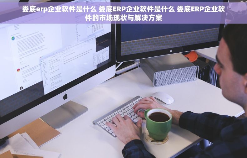 娄底erp企业软件是什么 娄底ERP企业软件是什么 娄底ERP企业软件的市场现状与解决方案