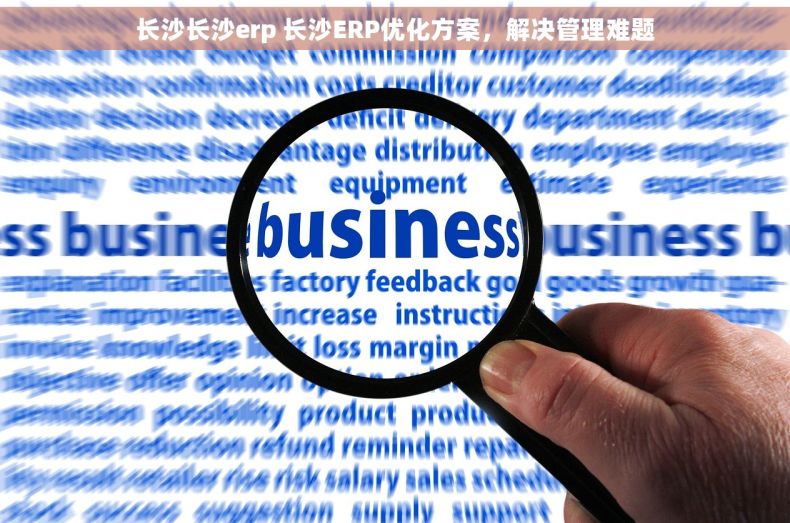 长沙长沙erp 长沙ERP优化方案，解决管理难题
