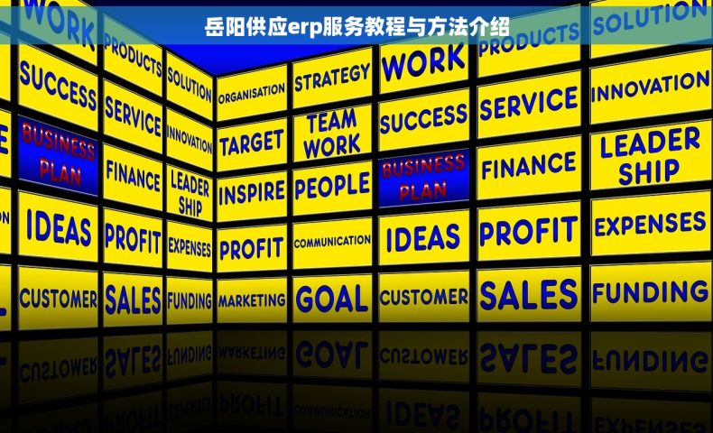 岳阳供应erp服务教程与方法介绍