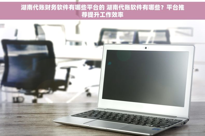 湖南代账财务软件有哪些平台的 湖南代账软件有哪些？平台推荐提升工作效率