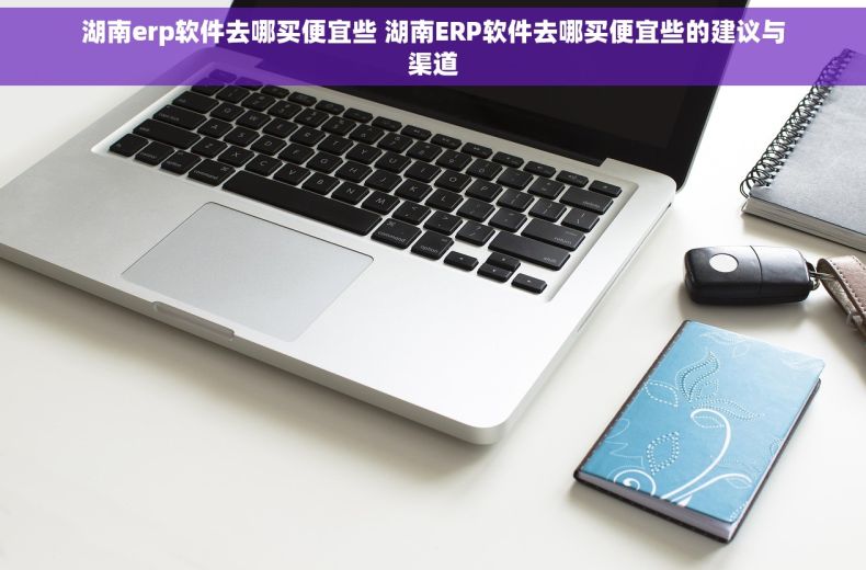 湖南erp软件去哪买便宜些 湖南ERP软件去哪买便宜些的建议与渠道