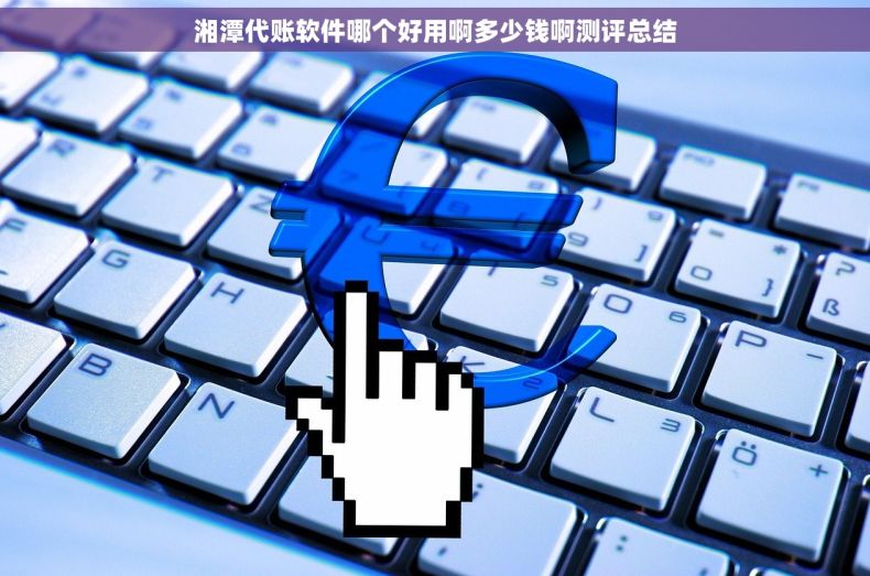 湘潭代账软件哪个好用啊多少钱啊测评总结