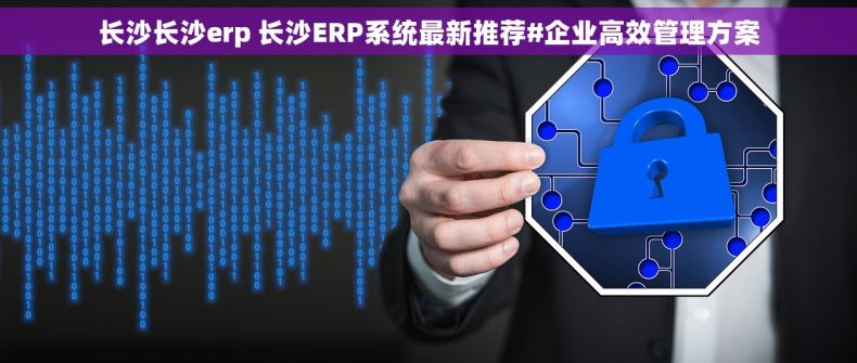 长沙长沙erp 长沙ERP系统最新推荐#企业高效管理方案