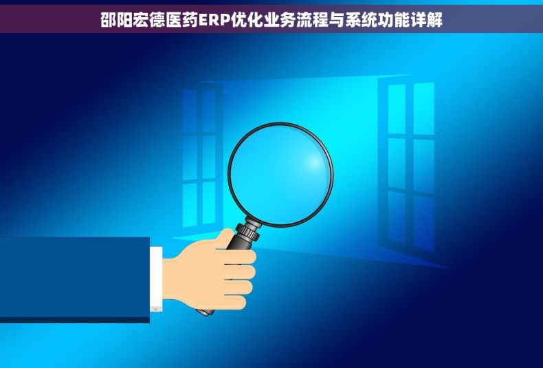 邵阳宏德医药ERP优化业务流程与系统功能详解