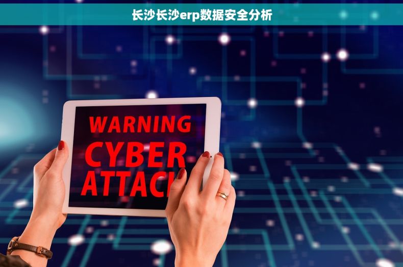 长沙长沙erp数据安全分析