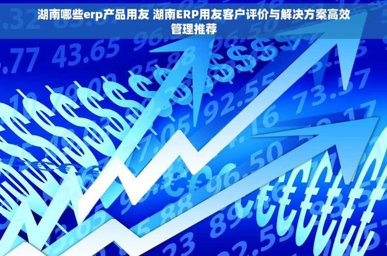 湖南哪些erp产品用友 湖南ERP用友客户评价与解决方案高效管理推荐