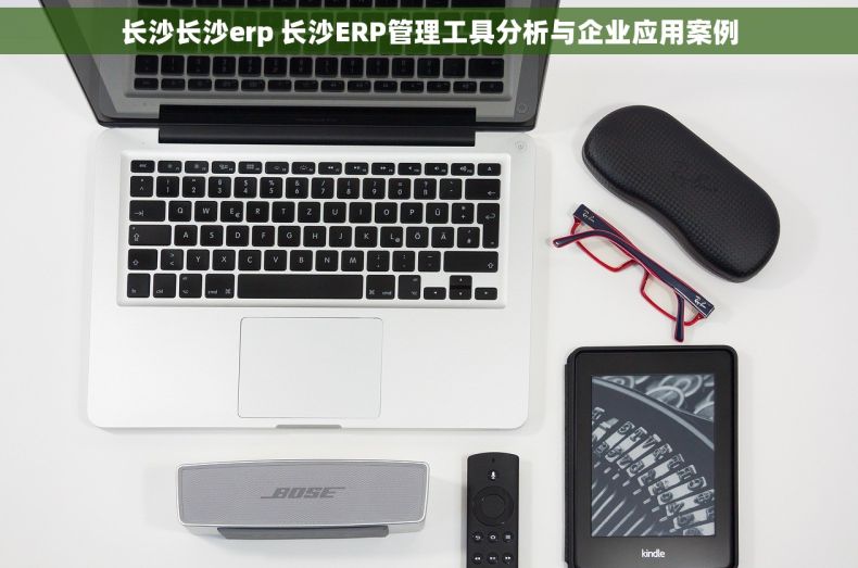 长沙长沙erp 长沙ERP管理工具分析与企业应用案例