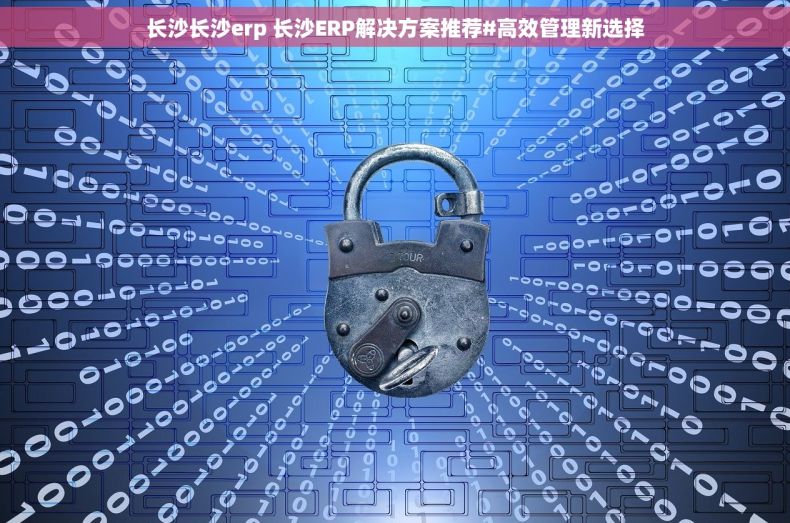 长沙长沙erp 长沙ERP解决方案推荐#高效管理新选择