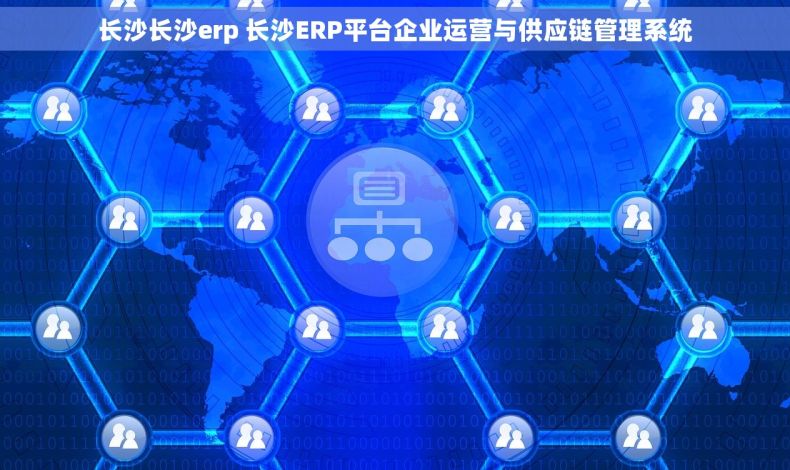 长沙长沙erp 长沙ERP平台企业运营与供应链管理系统