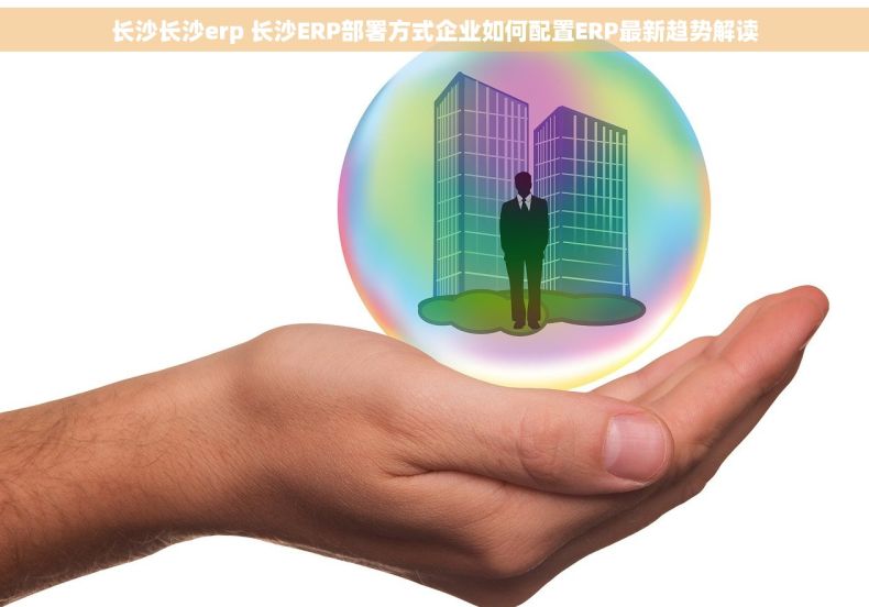 长沙长沙erp 长沙ERP部署方式企业如何配置ERP最新趋势解读