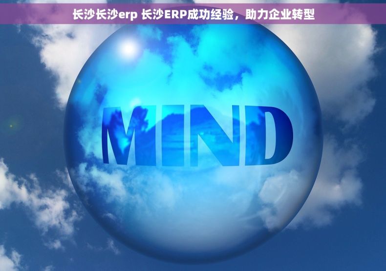 长沙长沙erp 长沙ERP成功经验，助力企业转型