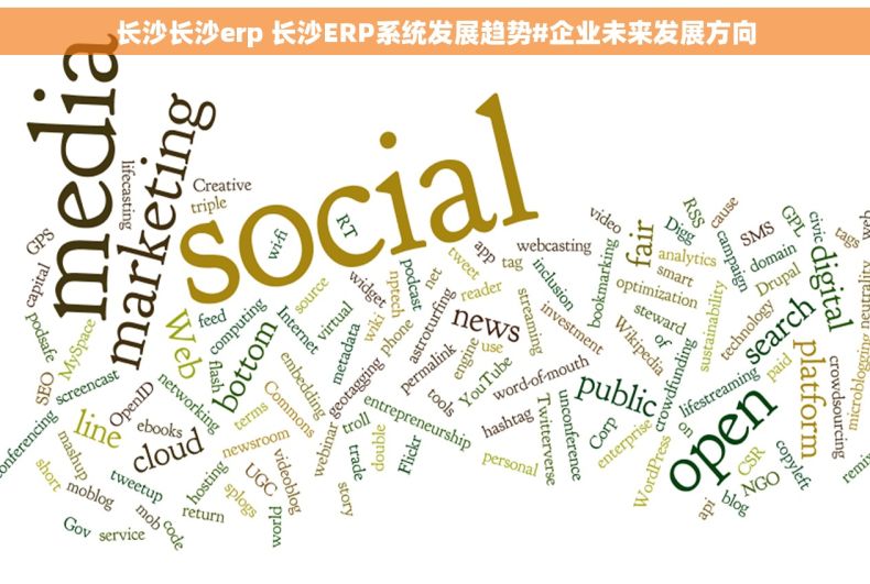 长沙长沙erp 长沙ERP系统发展趋势#企业未来发展方向