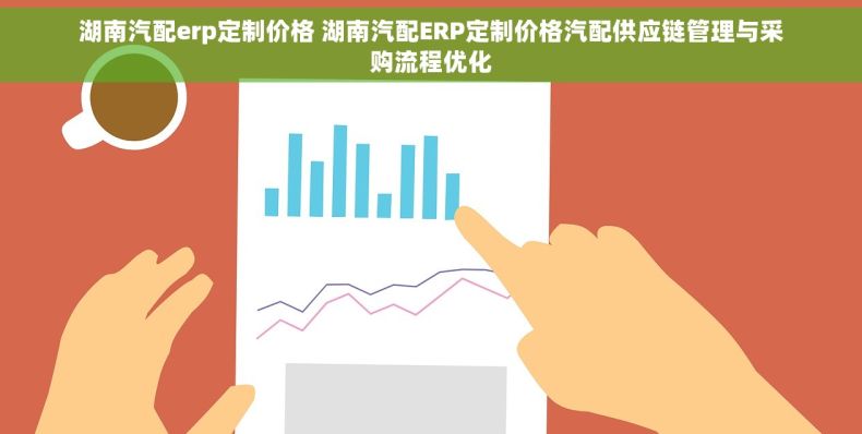 湖南汽配erp定制价格 湖南汽配ERP定制价格汽配供应链管理与采购流程优化