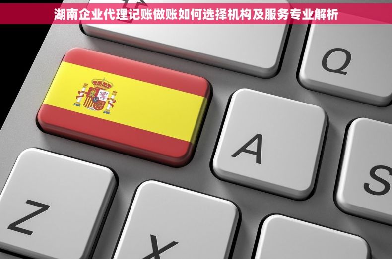 湖南企业代理记账做账如何选择机构及服务专业解析