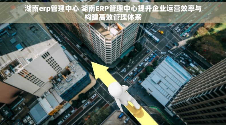 湖南erp管理中心 湖南ERP管理中心提升企业运营效率与构建高效管理体系