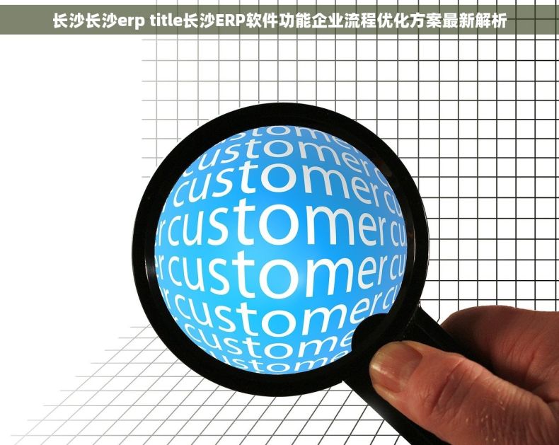 长沙长沙erp title长沙ERP软件功能企业流程优化方案最新解析