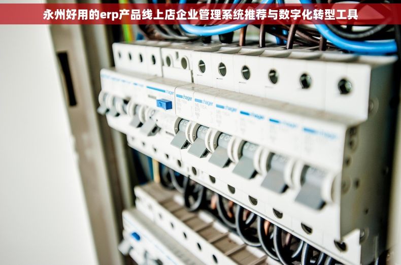 永州好用的erp产品线上店企业管理系统推荐与数字化转型工具
