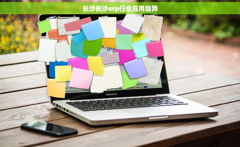 长沙长沙erp行业应用趋势