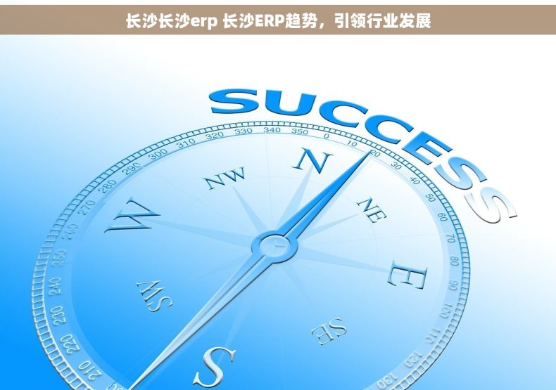 长沙长沙erp 长沙ERP趋势，引领行业发展