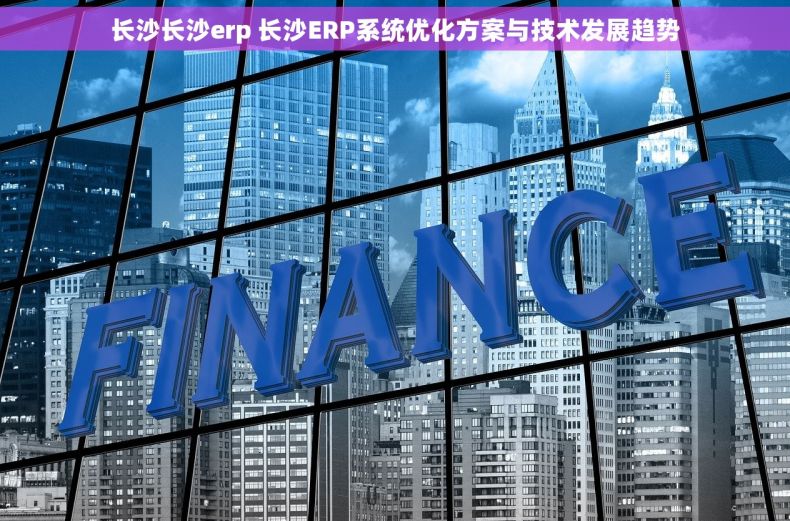 长沙长沙erp 长沙ERP系统优化方案与技术发展趋势