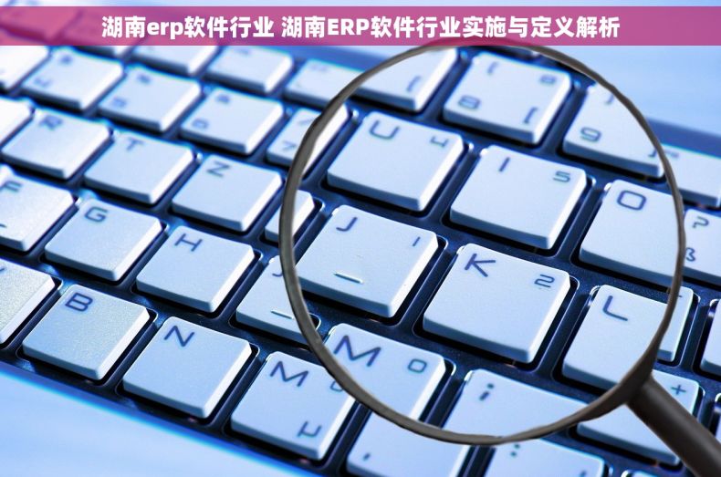 湖南erp软件行业 湖南ERP软件行业实施与定义解析