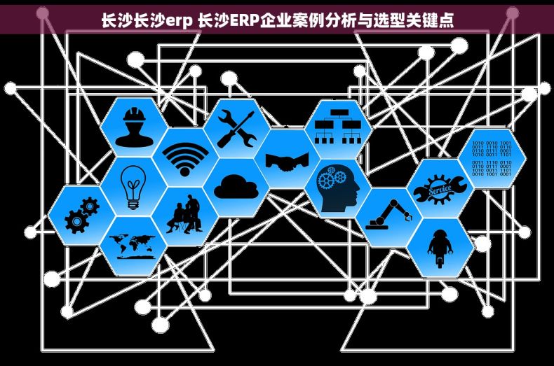 长沙长沙erp 长沙ERP企业案例分析与选型关键点