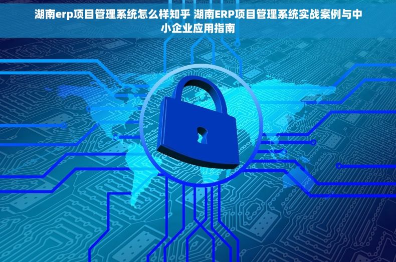 湖南erp项目管理系统怎么样知乎 湖南ERP项目管理系统实战案例与中小企业应用指南