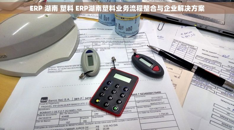 ERP 湖南 塑料 ERP湖南塑料业务流程整合与企业解决方案