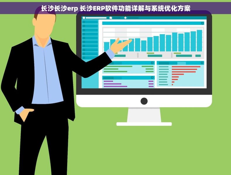 长沙长沙erp 长沙ERP软件功能详解与系统优化方案