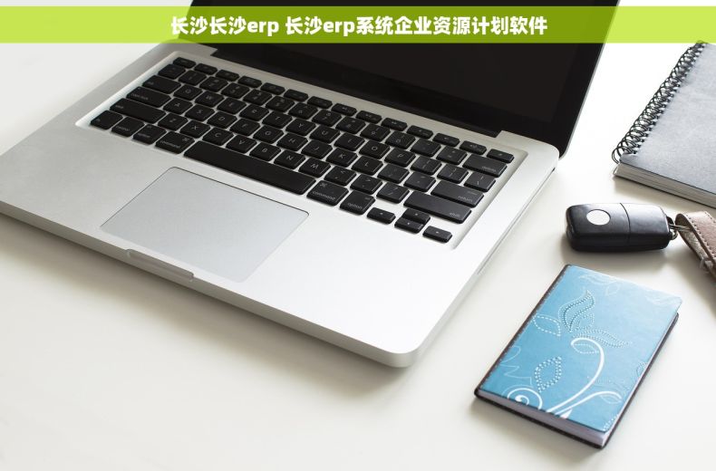长沙长沙erp 长沙erp系统企业资源计划软件